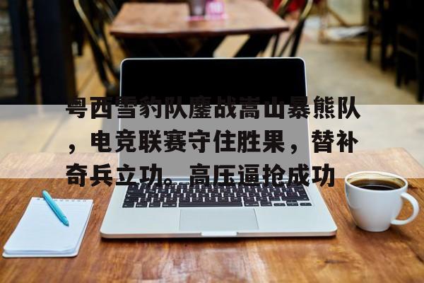 粤西雪豹队鏖战嵩山暴熊队，电竞联赛守住胜果，替补奇兵立功。高压逼抢成功的简单介绍